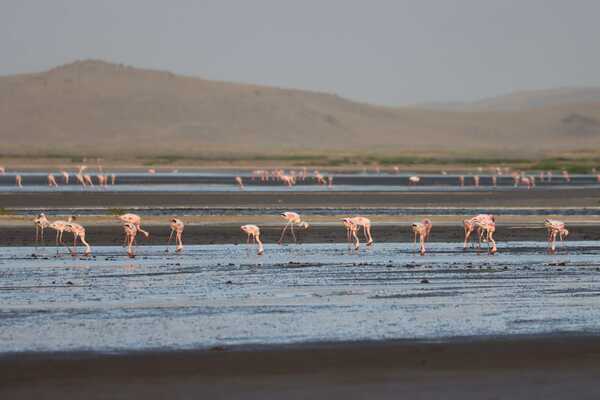 Lake Natron