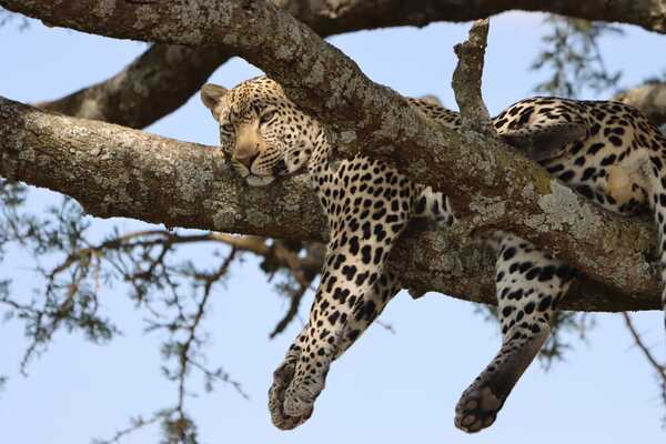 The Serengeti: Our Top Photos